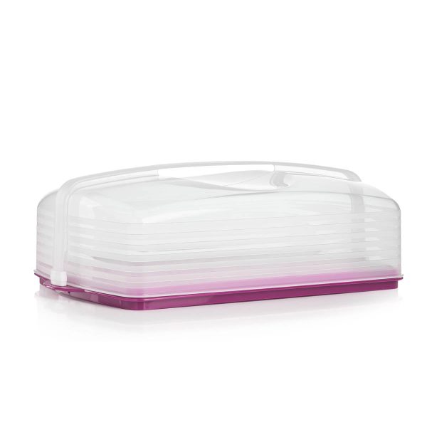 Tupperware Cake Taker | Rectangular