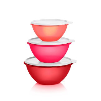 Tupperware Classic Wonderlier® Bowl | Set of 3 | Red