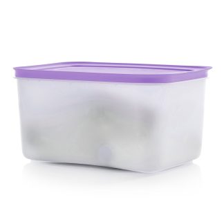 Tupperware® Freezer Mates® PLUS Medium Deep | Food Storage Container