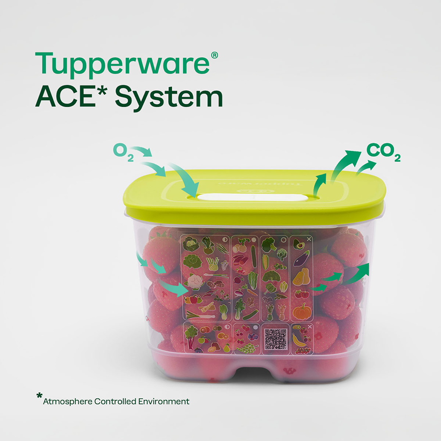 tupperware fridgesmart medium produce storage container with 3