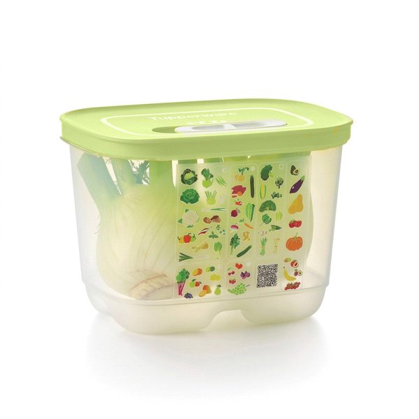 Tupperware® FridgeSmart® Small Deep | Produce Storage Container With Lid