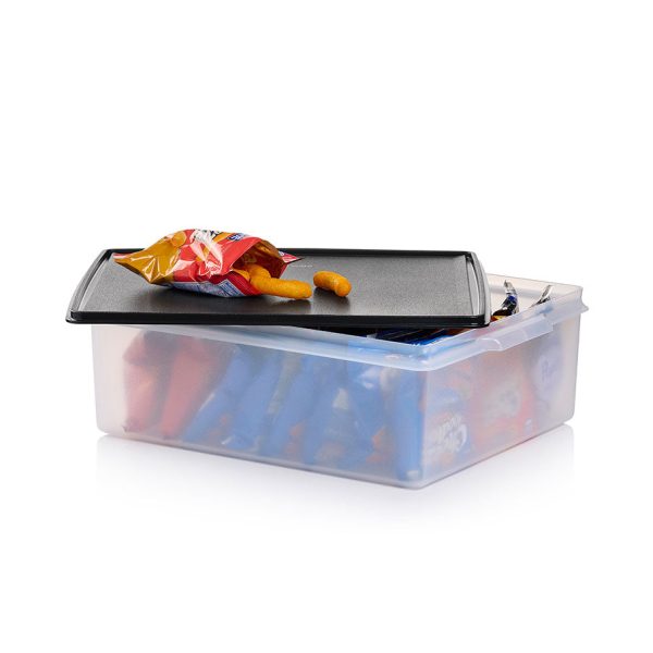Tupperware Large Storage Tote