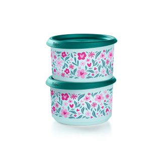 Tupperware One Touch® Canisters | 2¼-cup / 575 mL