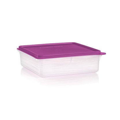 Tupperware Snack-Stor® Container